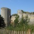 LE MARAIS POITEVIN (2)