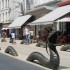 LE MARAIS POITEVIN (2)
