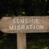 LE MARAIS POITEVIN (2)