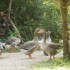 LE MARAIS POITEVIN (2)