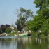 LE MARAIS POITEVIN (2)