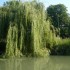 LE MARAIS POITEVIN (2)
