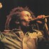 BOB MARLEY