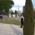 V COMME VAISON LA ROMAINE (4) 
