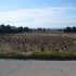 G COMME GIGONDAS - VAUCLUSE - 