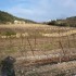 V COMME VACQUERAS - VAUCLUSE -