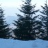 V COMME MONT VENTOUX (2) - VAU