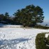 V COMME MONT VENTOUX (2) - VAU