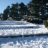 V COMME MONT VENTOUX (2) - VAU