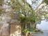 C COMME CARPENTRAS (3) - VAUCL