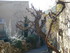 P COMME PIERRELONGUE - DROME -