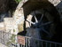B COMME BARJOLS (2) - VAR - FR