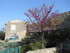 SALON DE PROVENCE - AUREILLE -