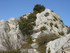SALON DE PROVENCE - AUREILLE -