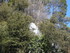 S COMME SILLANS LA CASCADE - V