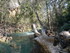 S COMME SILLANS LA CASCADE (2)