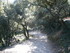 S COMME SILLANS LA CASCADE (3)