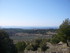 T COMME TOURTOUR (2) - VAR - F