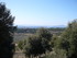 T COMME TOURTOUR (2) - VAR - F