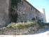 T COMME TOURTOUR (2) - VAR - F