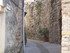 T COMME TOURTOUR (2) - VAR - F
