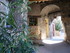 T COMME TOURTOUR (2) - VAR - F