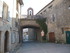 T COMME TOURTOUR (2) - VAR - F