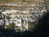 M COMME LES BALCONS DE LA MESC