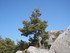 P COMME PONTEVES (2) - VAR - F