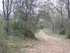MONTPELLIER - MONTARNAUD - KM 