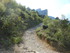 MONTARNAUD - SAINT GUILHEM LE 