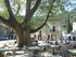 MONTARNAUD - SAINT GUILHEM LE 