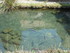 MONTARNAUD - SAINT GUILHEM LE 