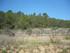 C COMME CARCÈS - VAR - FRANCE