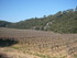 C COMME CARCÈS - VAR - FRANCE