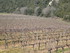 C COMME CARCÈS - VAR - FRANCE