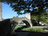 SAINT JEAN DE LA BLAQUIÈRE - 