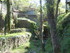 LODÈVE - LUNAS - KM 283