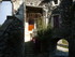 A COMME ALBA LA ROMAINE (2) - 
