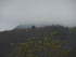 SAINT GERVAIS SUR MARE - MURAT