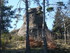 I COMME ISSARLÈS - LE LAC (3)