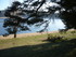 I COMME ISSARLÈS - LE LAC (3)