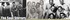THE SOUL STIRRERS