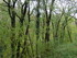 ANGLES - BOISSEZON - KM 397