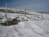 M COMME MONT GERBIER DE JONC -