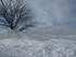 M COMME MONT GERBIER DE JONC (
