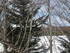 M COMME MONT GERBIER DE JONC (