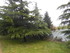 CASTRES - DOURGNE - KM 435