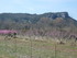P COMME PONT DE LABEAUME - ARD