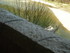 V COMME VALLON PONT D'ARC - AR